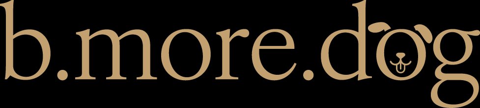 b.more.dog